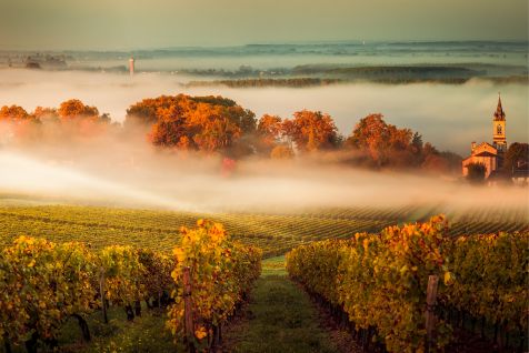 Bordeaux France Wine Country EscapadeImage