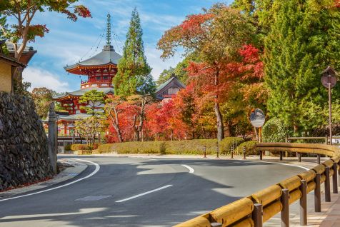 Japan Golden Route ExplorerImage