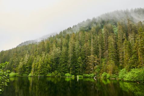 Sitka Stay Pre or Post CruiseImage