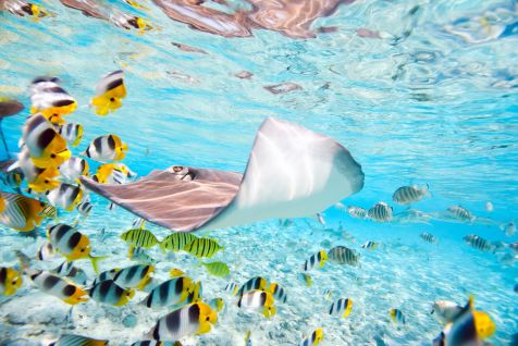 Bora Bora and Tahiti EscapadeImage