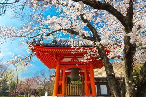 Classic Japan ExplorerImage