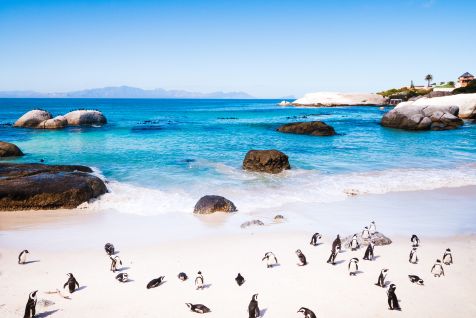 Cape Town and Winelands EscapadeImage