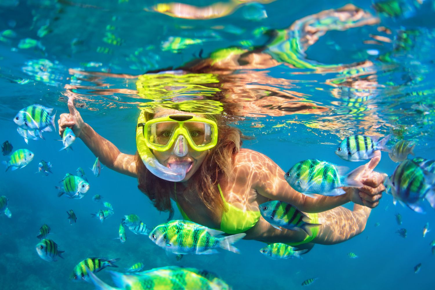Costa Rica Caribbean ExplorerImage