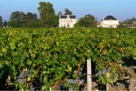 Bordeaux France Wine Country EscapadeImage