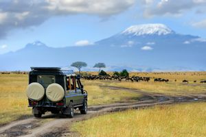 Highlights of Kenya Safari