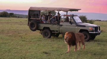 Private Safari through the Rift Valley