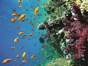 Hurghada Extension
