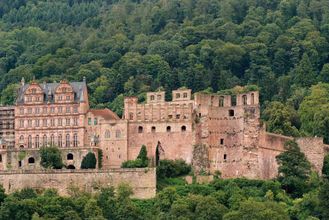 Heidelberg Private Walking Tour including Heidelberg Castle