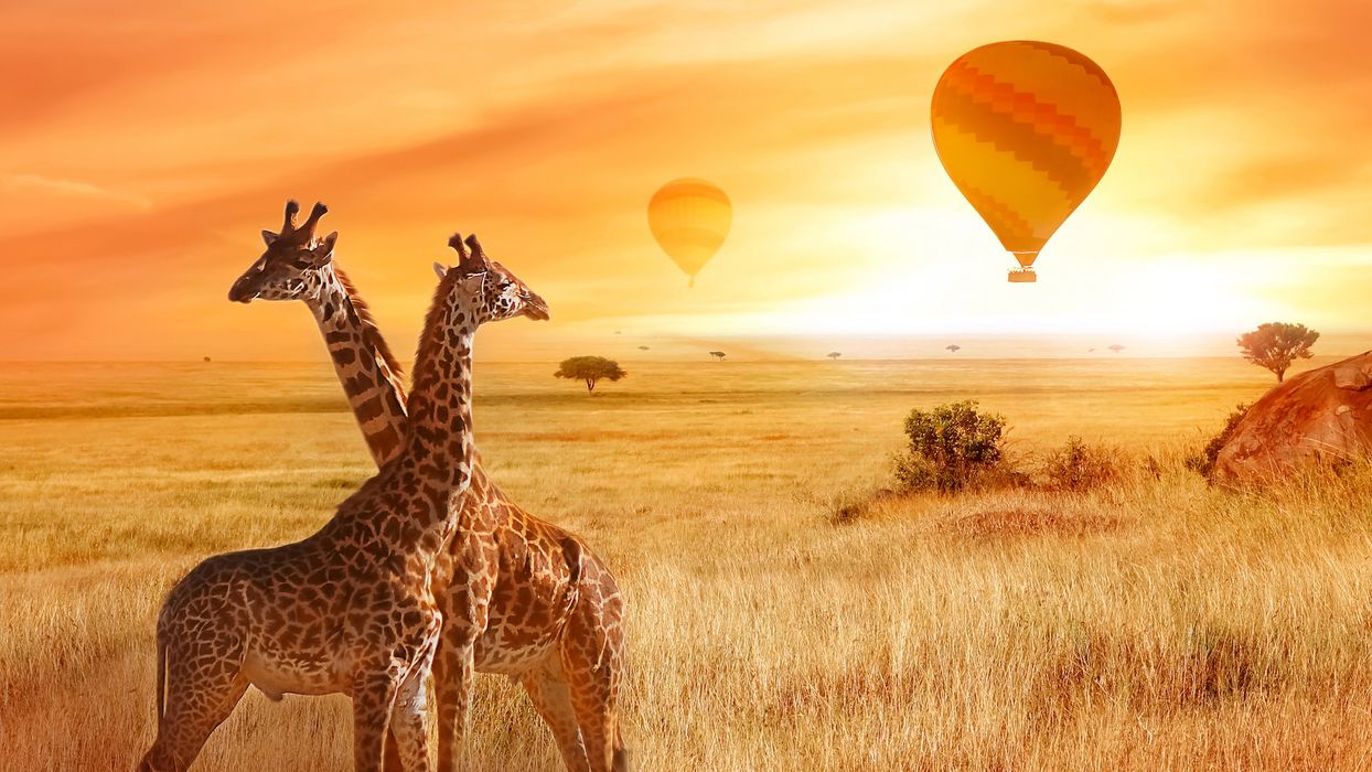 Featured destination image 5