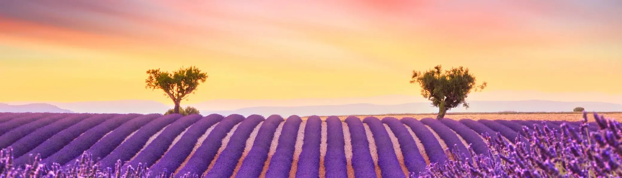 Featured destination image 2