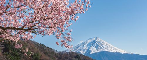 Promotion for August 2026 Top Travel Specials