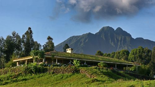 Rwanda Volcanoes National Park