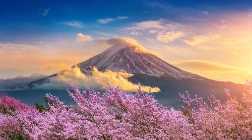 Hakone