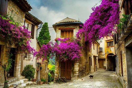 Provence and Cote dAzur