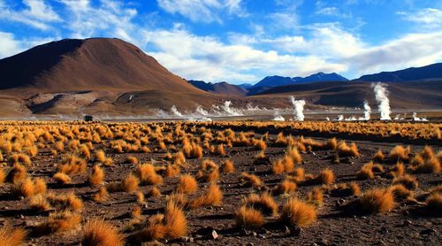 San Pedro de Atacama