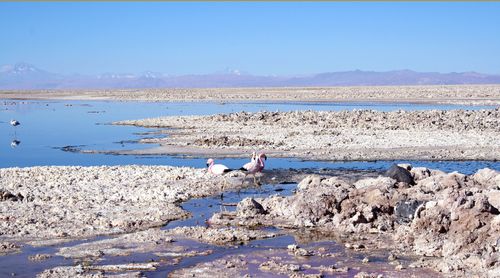 San Pedro de Atacama