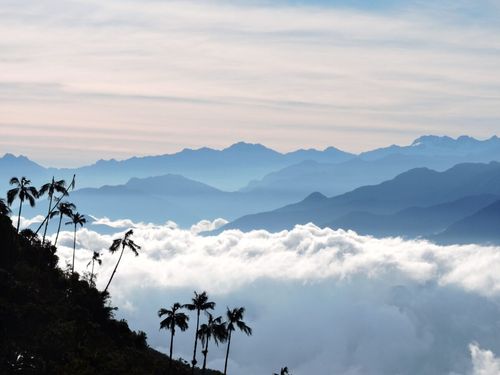Coffee Region