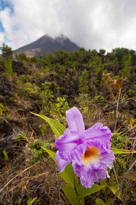 Arenal Volcano National Park