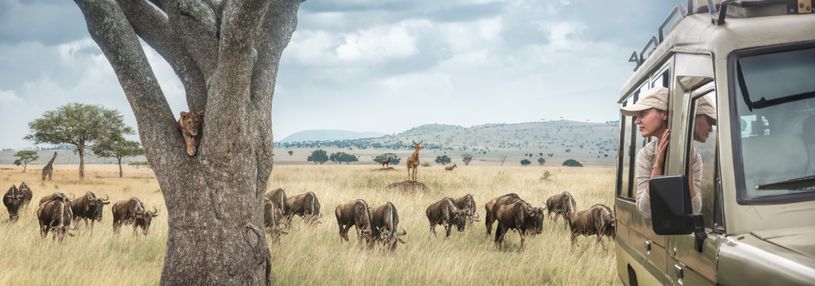 Samburu