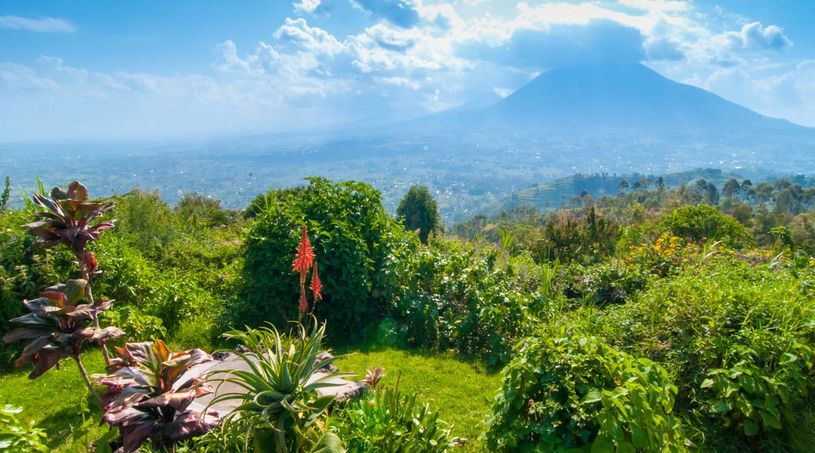 Rwanda Volcanoes National Park
