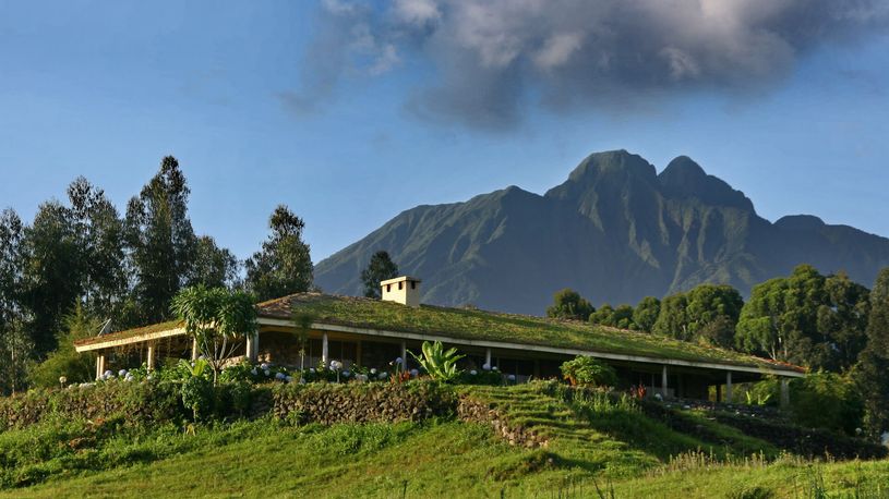Rwanda Volcanoes National Park