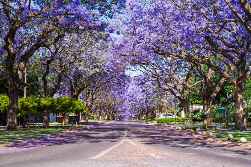 Johannesburg