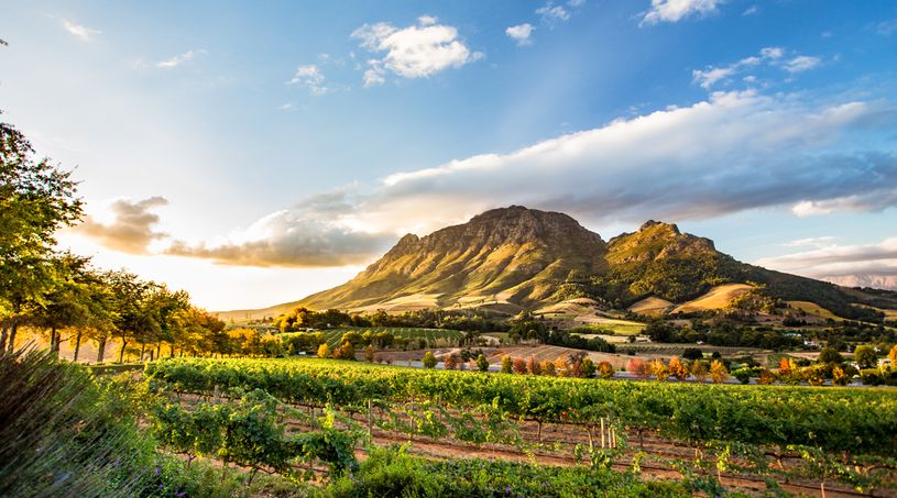 Stellenbosch