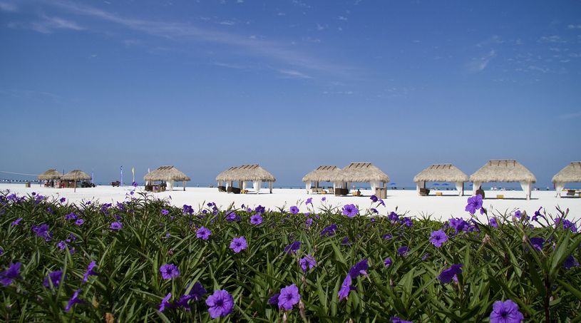 Marco Island